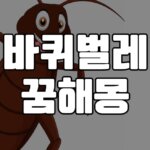 바퀴벌레꿈 해몽 총정리 5 바퀴벌레-꿈