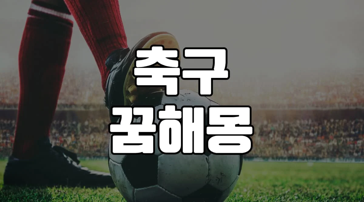 축구-꿈-해몽