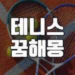 테니스꿈-해몽