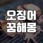 오징어꿈