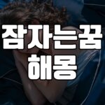 잠자는꿈 해몽 20가지 총정리 5 잠자는꿈