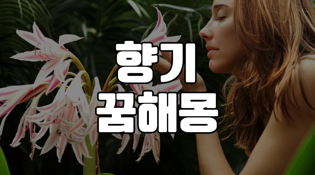 향기꿈