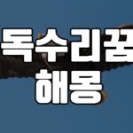 독수리꿈