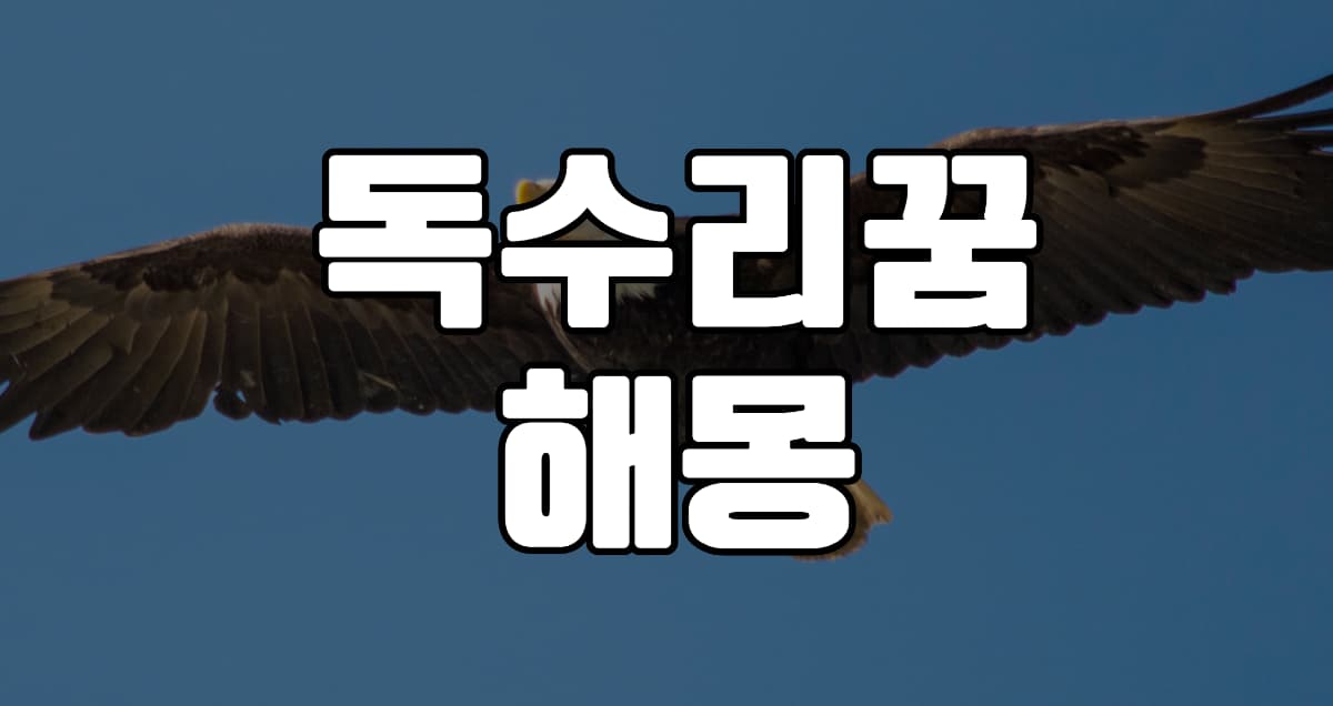 독수리꿈