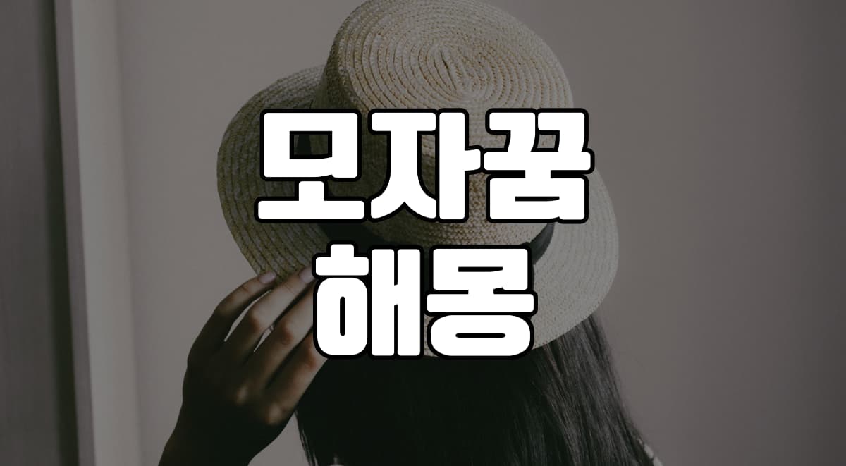 모자꿈