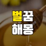 벌꿈 해몽 20가지 총정리 6 벌꿈