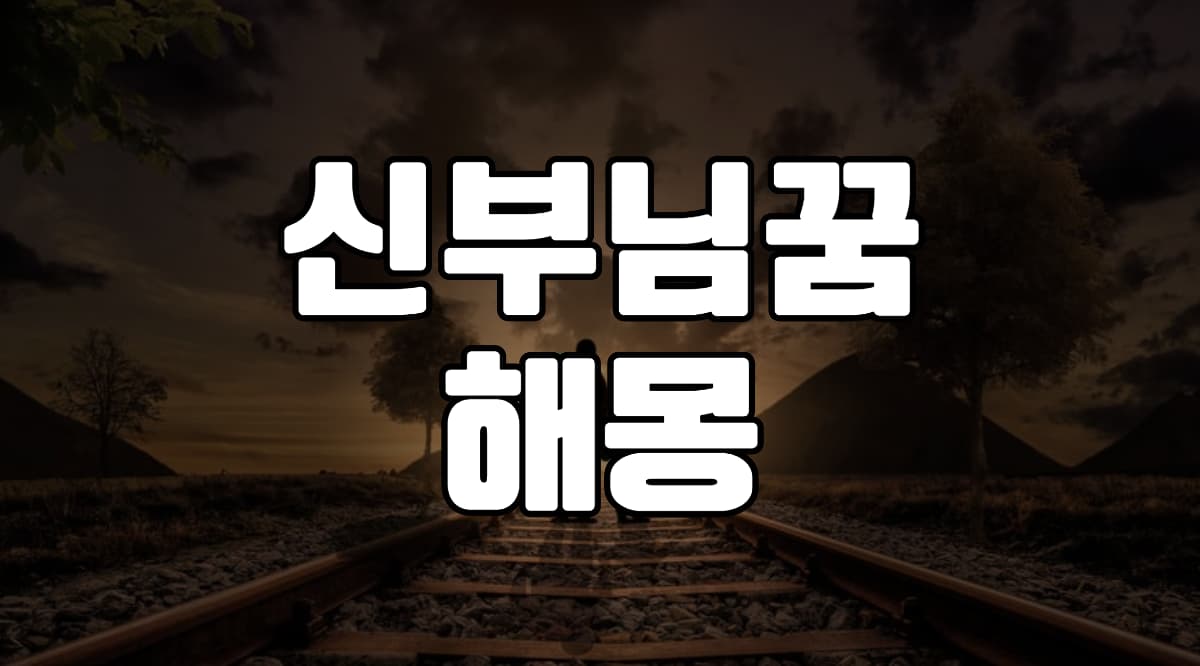 신부님꿈