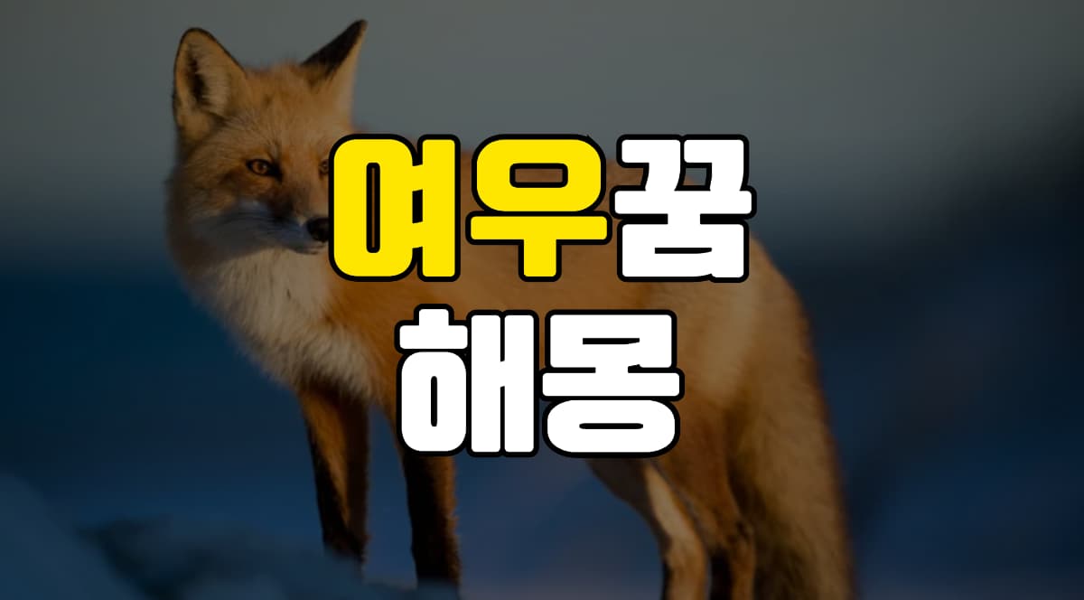 여우꿈