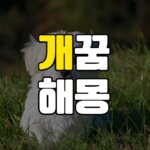개꿈-강아지꿈
