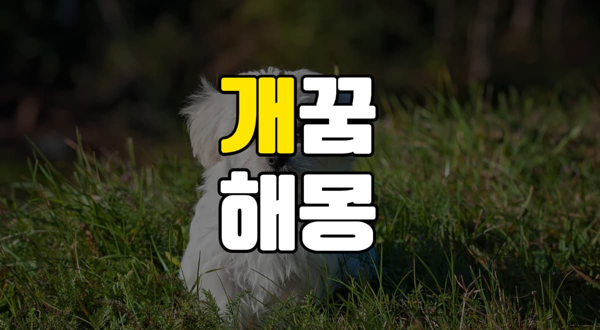 개꿈-강아지꿈