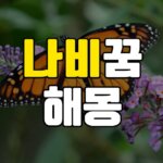 나비꿈