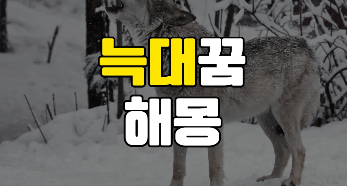 늑대꿈