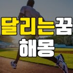 달리는꿈 해몽 총 20가지 총정리 7 달리는꿈