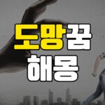 도망꿈