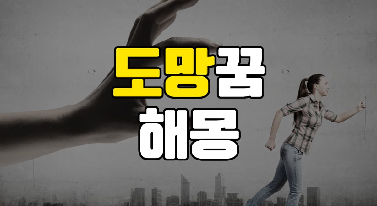 도망꿈