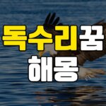 독수리꿈 해몽 20가지 총정리 7 독수리꿈