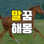 말꿈 해몽 20가지 총정리 13 말꿈