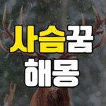 사슴꿈 해몽 20가지 총정리 6 사슴꿈