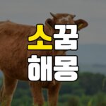 소꿈 해몽 20가지 총정리 6 소꿈