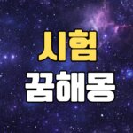 시험꿈
