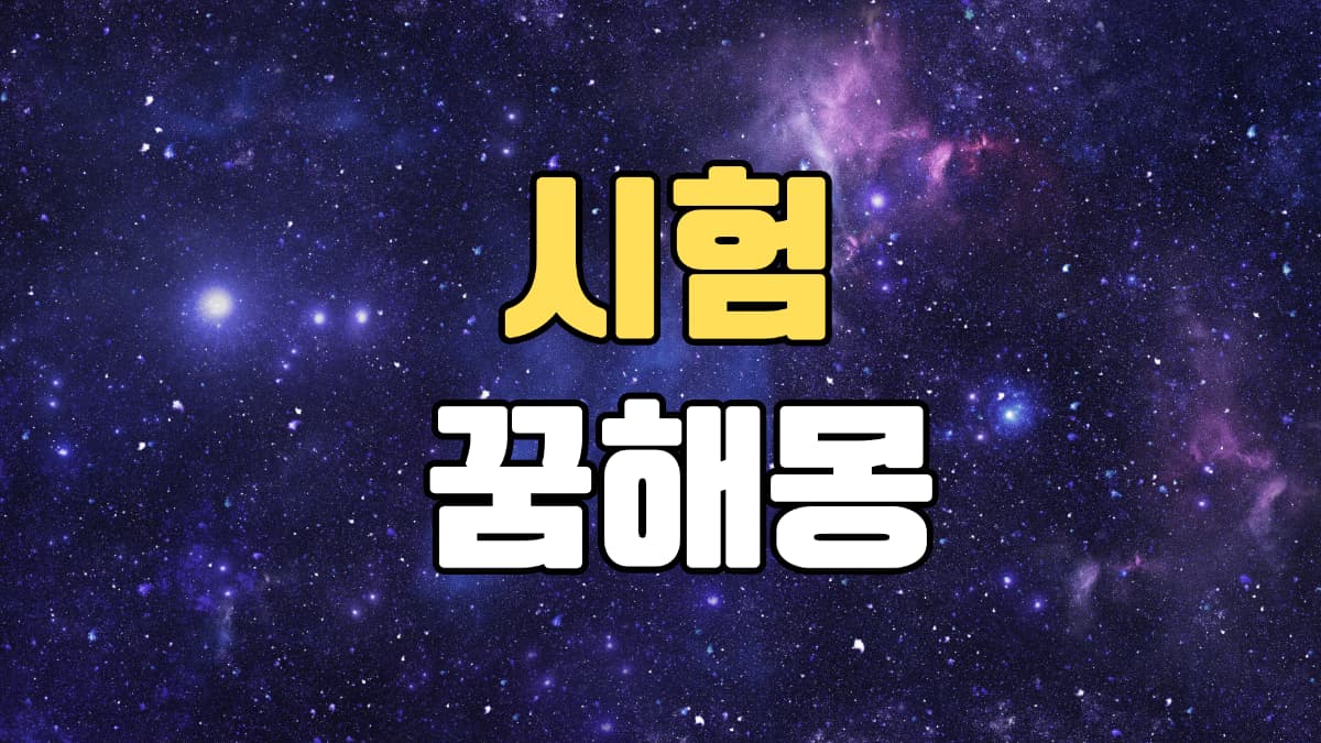 시험꿈