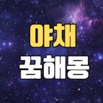 야채꿈