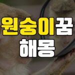 원숭이꿈 해몽 20가지 총정리 6 원숭이꿈
