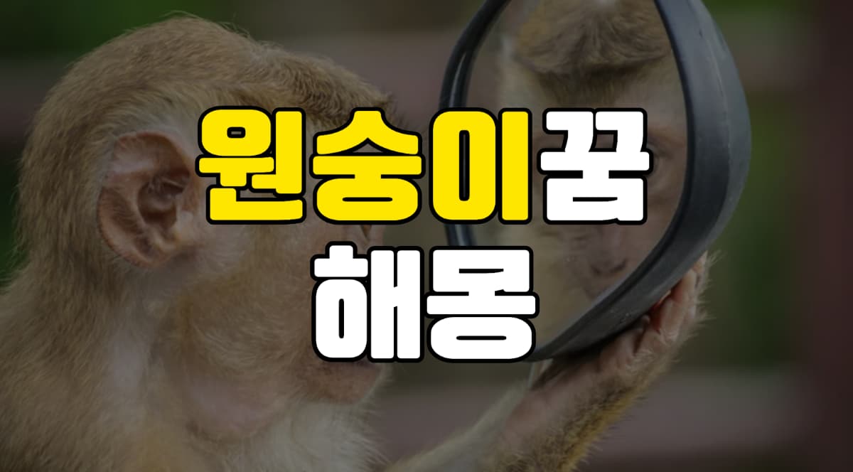 원숭이꿈