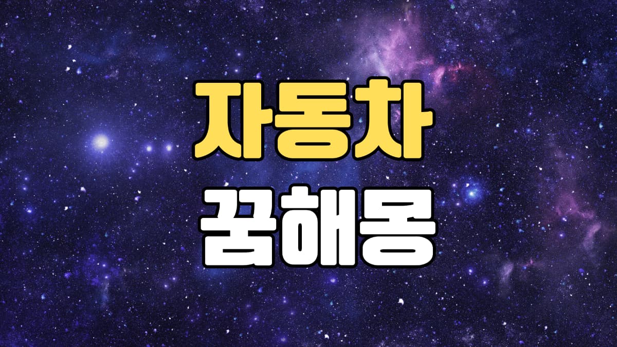 자동차꿈