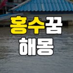 홍수꿈 해몽 20가지 총정리 13 홍수꿈