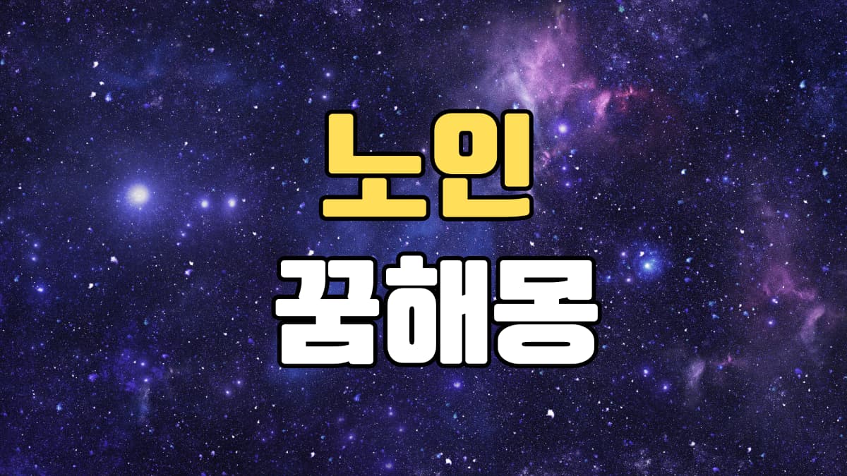 노인꿈