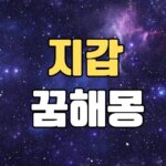 지갑꿈 해몽 20가지 총정리 14 지갑꿈