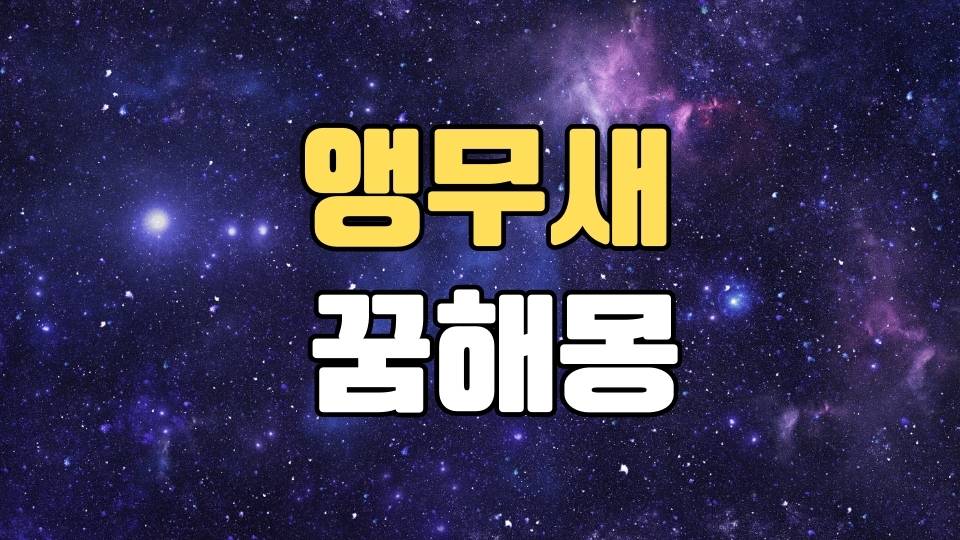 앵무새꿈