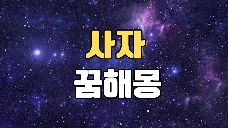 사자꿈