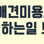 애견미용사 연봉 하는일 되는법 13 애견미용사-연봉