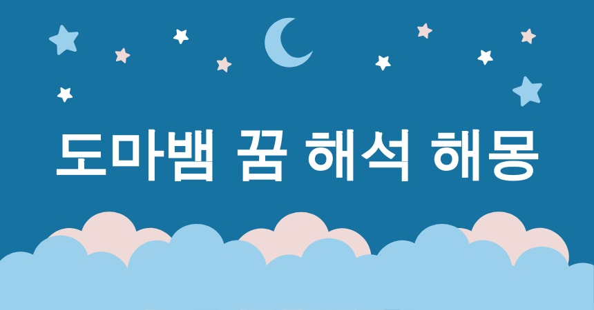 도마뱀 꿈 해몽 15가지 (도마뱀 꿈, 도마뱀 꿈 해석, 도마뱀 꿈 의미, 도마뱀 꿈 긍정, 도마뱀 꿈 부정) 3 도마뱀 꿈 해석