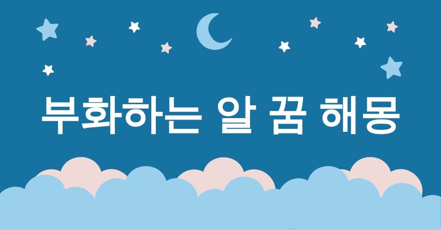 알 꿈 해몽 15가지 (깨진 알 꿈, 부화하는 알 꿈, 알에서 병아리 나오는 꿈, 큰 알 꿈, 작은 알 꿈) 3 부화하는 알 꿈